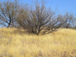 21 Caballo Ct, Patagonia, AZ 85624