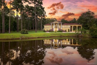 895 Doe Run Dr, Newton, AL 36352