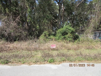 0 SE 183rd Terrace Unit 10 11402166, Ocklawaha, FL 32179