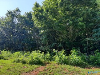 LOT 120 Lookout Mount Dr, Scottsboro, AL 35769