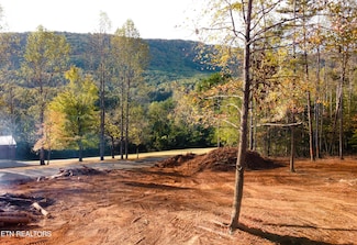 Lot 4 Peachie Way, Cosby, TN 37722