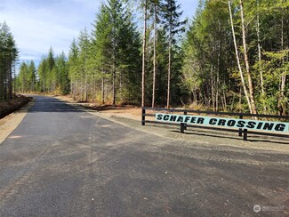 0 Lot 2 Div 1 Raven Ln Unit NWM2180151, Elma, WA 98541