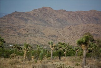 0 La Contenta Rd, Joshua Tree, CA 92252