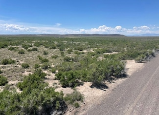 0 Tbd 6500 Rd S Unit LotWP001 21115450, Delta, UT 84624
