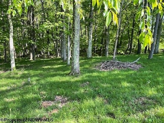 Lot 1 Pleasant Valley Dr, Reedsville, WV 26547