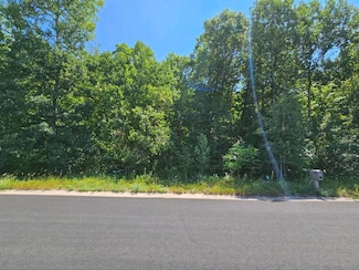 Lot 73 Roosevelt Dr, Dresser, WI 54009