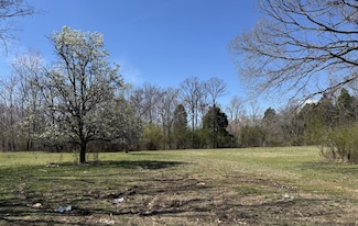 250 Rutherford Rd, Palmersville, TN 38241