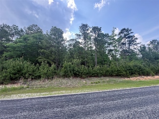 40-16-4a Sundog Rd, Huntsville, TX 77340