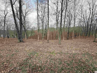 Lot #15 Waterfowl Ln, Murray, KY 42071