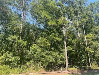 203 Pebble Cove Rd, Abbeville, AL 36310