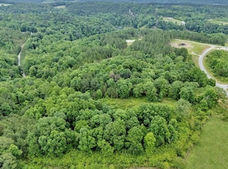 0 Lot 36 Grandview Shores Unit 25-593, Crane Hill, AL 35053