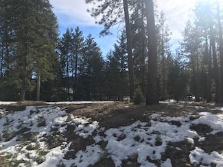 11 River Run Loop, Saint Regis, MT 59866