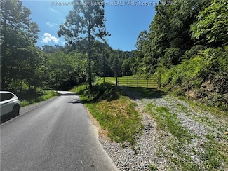 64 Mccoy Dr, Davy, WV 24828