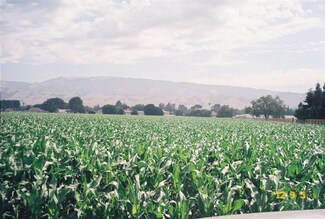 000 Church Ave, San Martin, CA 95046