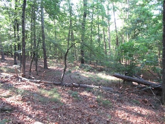 00 Murphy Rd, Sunset, SC 29685