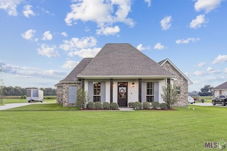 10213 W Robert Wilson Rd, Gonzales, LA 70737
