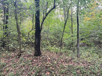 TBD Bunker Hill Mill Rd, Lexington, VA 24450