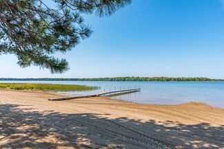 29687 E Horseshoe Lake Rd, Merrifield, MN 56465