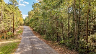 TBD County Road 4558, Winnsboro, TX 75494