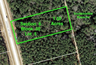 6-30-5 Dipping Vat Rd, Huntsville, TX 77340