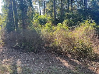 25744 Dogwood Ln, Cleveland, TX 77328