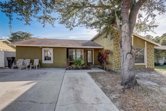 10212 Wexford Ct, Tampa, FL 33615