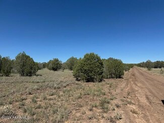 3651 N Willarney Way, Williams, AZ 86046