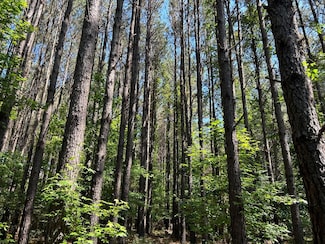 OOO Highway 15 N, Other, MS 39375