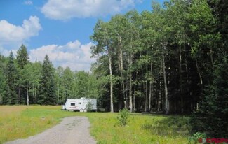 1205 Hazel Lake Dr, Cimarron, CO 81220