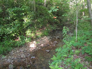 43 Scratch Gravel Rd, Ivanhoe, VA 24350