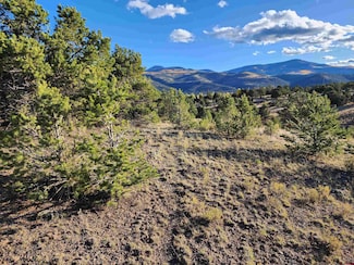 559 Orondoa Rd, Alpine, CO 81154