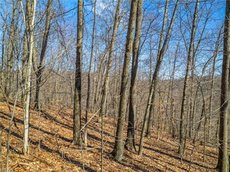 0 Prider Rd, Guernsey, OH 43749