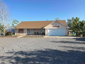 20465 Iris Rd, Austin, CO 81410