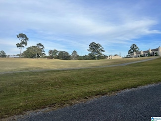 0 Jones Rd Unit 9 21423776, Alpine, AL 35014
