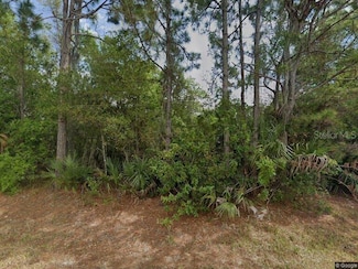 3510 Mentone St, Port Charlotte, FL 33980