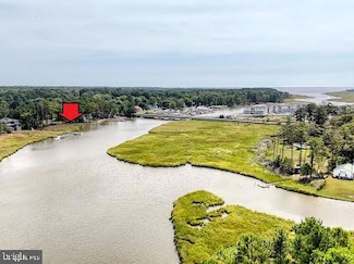 11 Love Creek Pines Ln, Lewes, DE 19958