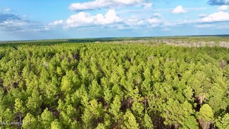0001 Putnam Rd, Pickens, MS 39146