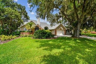 10517 Lake Williams Dr, Odessa, FL 33556