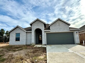 260 Ashley Branch St, Magnolia, TX 77354