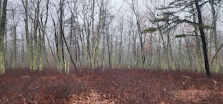0 Peewee Trail Unit KEY863218, Mamakating, NY 12790
