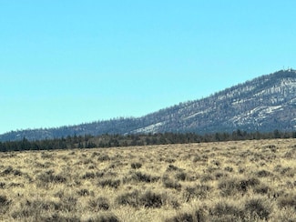0 Rim Dr Unit Lot 9 220194785, Chiloquin, OR 97639
