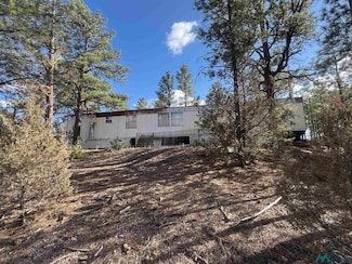 1291 New Mexico 612, Thoreau, NM 87323