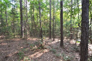N/A W Al Highway 80, Little Texas, AL 36083