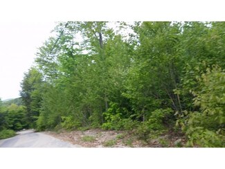 Lot 99 Bly Ave, Alton, NH 03810