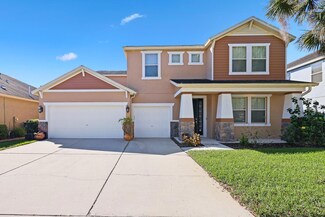 15608 Starling Water Dr, Lithia, FL 33547