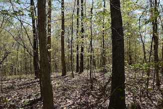 0 Wards Rd Unit LotWP002 20371943, Mount Sherman, KY 42764