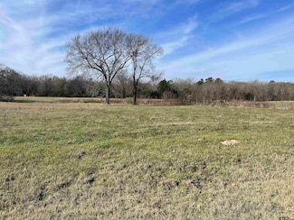 TBD Cr 2320, Pittsburg, TX 75686