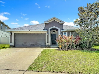 14371 Edinburgh Moor Dr, Wimauma, FL 33598