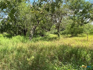 TBD Cr 1144 and Cr 1196, Sinton, TX 78387