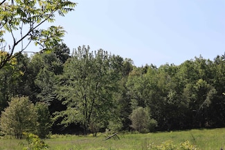 1041 Smead Rd, Salisbury, VT 05769